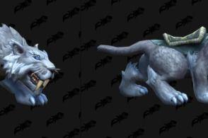 icc最新爆料,揭秘国际足坛重大事件内幕