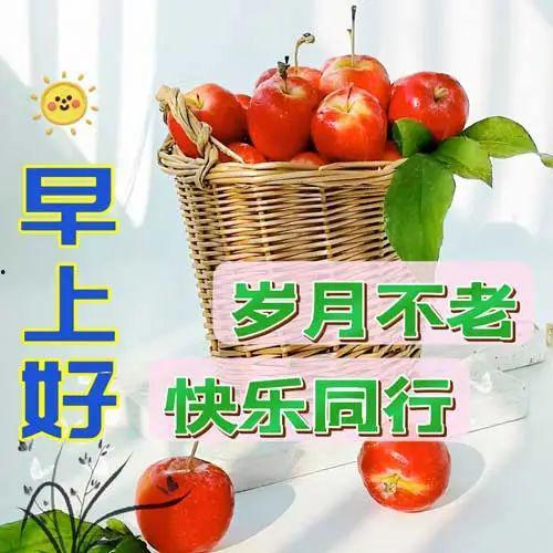 爆料提子视频大全最新下载,最新爆料提子视频大全下载攻略