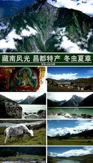 风景视频爆料大全最新下载,绝美风光一网打尽